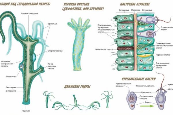Кракен даркнет kraken link24 info
