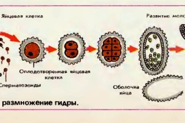 Кракен даркнет только через стор