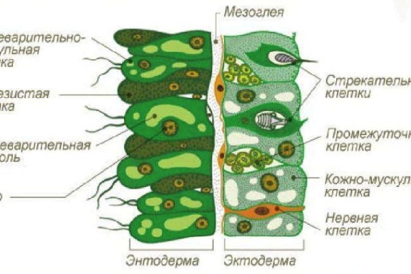 Работающий сайт кракен