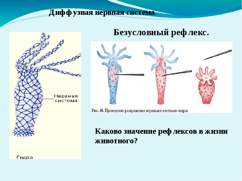 Кракен зеркало сайта